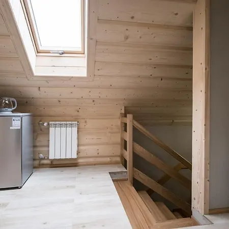 U Gabi Lejlighed Poronin