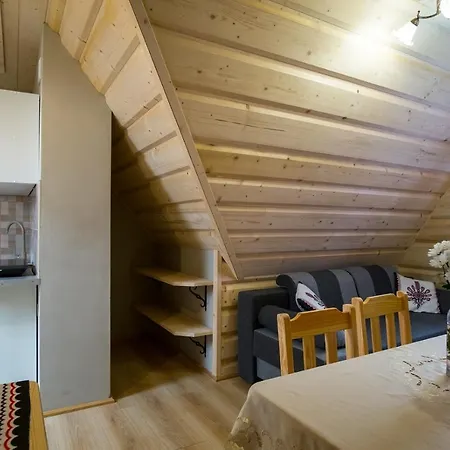 U Gabi Lejlighed Poronin